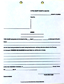 Florida County Court Motion Order Forms